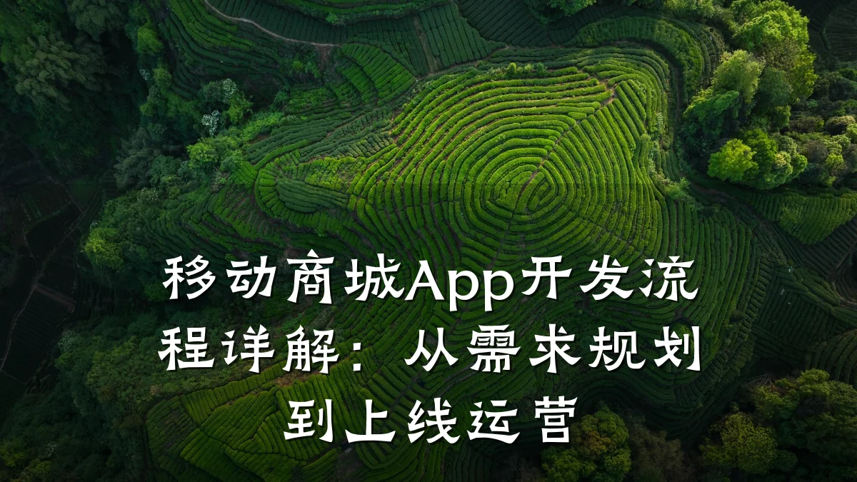 移动商城App开发流程详解：从需求规划到上线运营