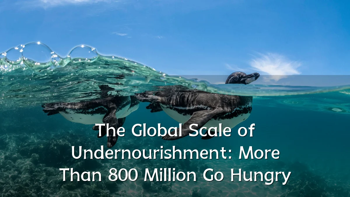 The Global Scale of Undernourishment: More Than 800 Million Go Hungry