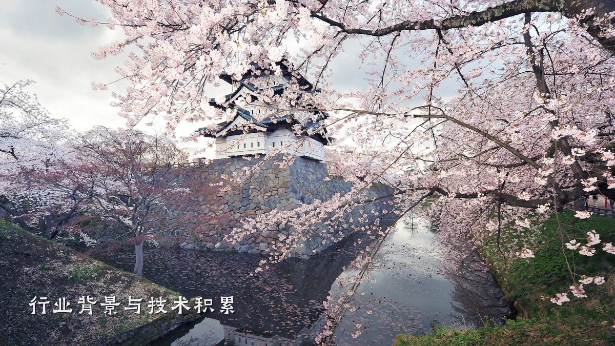 行业背景与技术积累