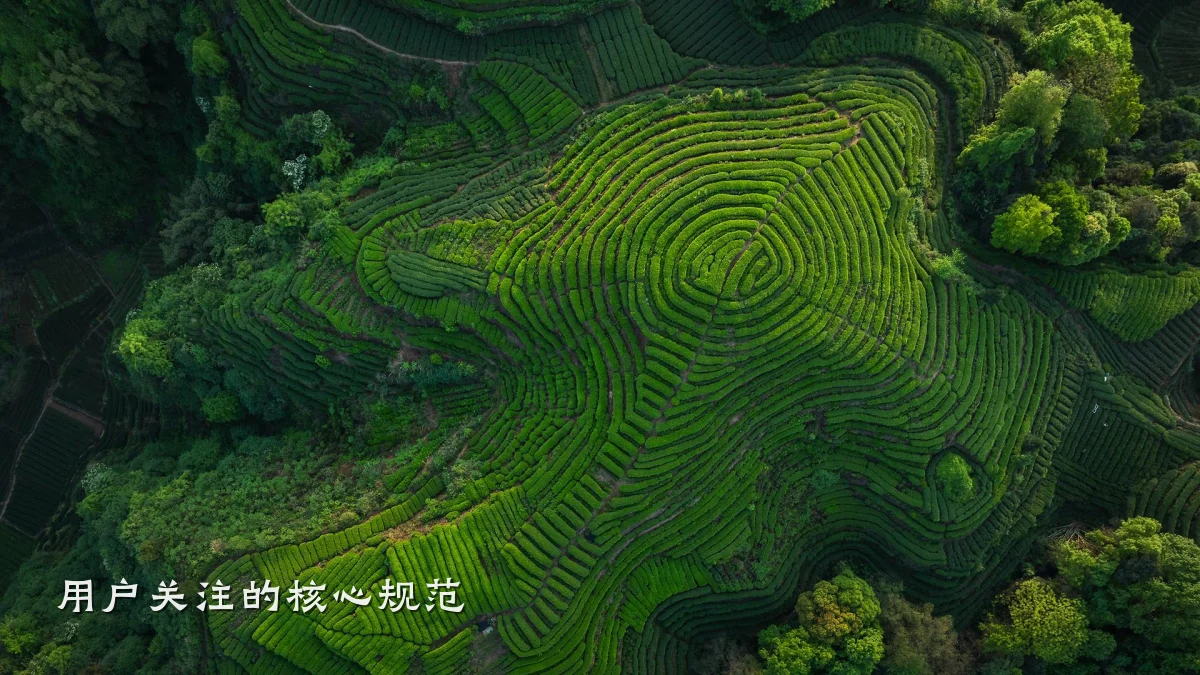 用户关注的核心规范