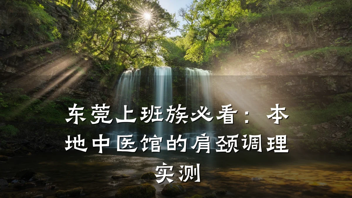 东莞上班族必看：本地中医馆的肩颈调理实测