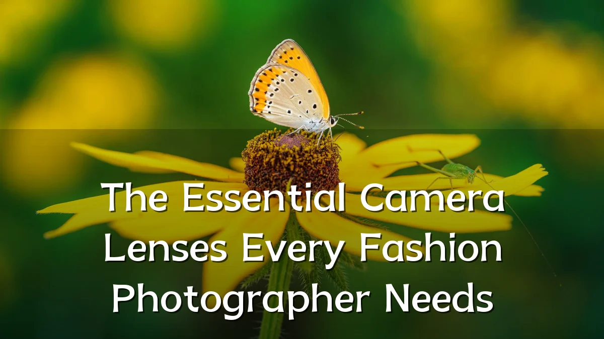The Essential Camera Lenses Every Fashion Photographer Needs