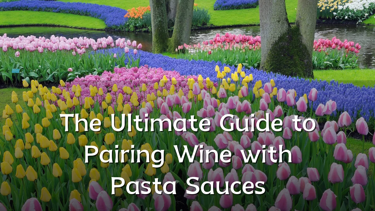 The Ultimate Guide to Pairing Wine with Pasta Sauces