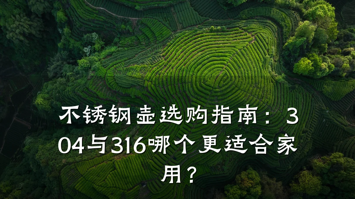 不锈钢壶选购指南：304与316哪个更适合家用？