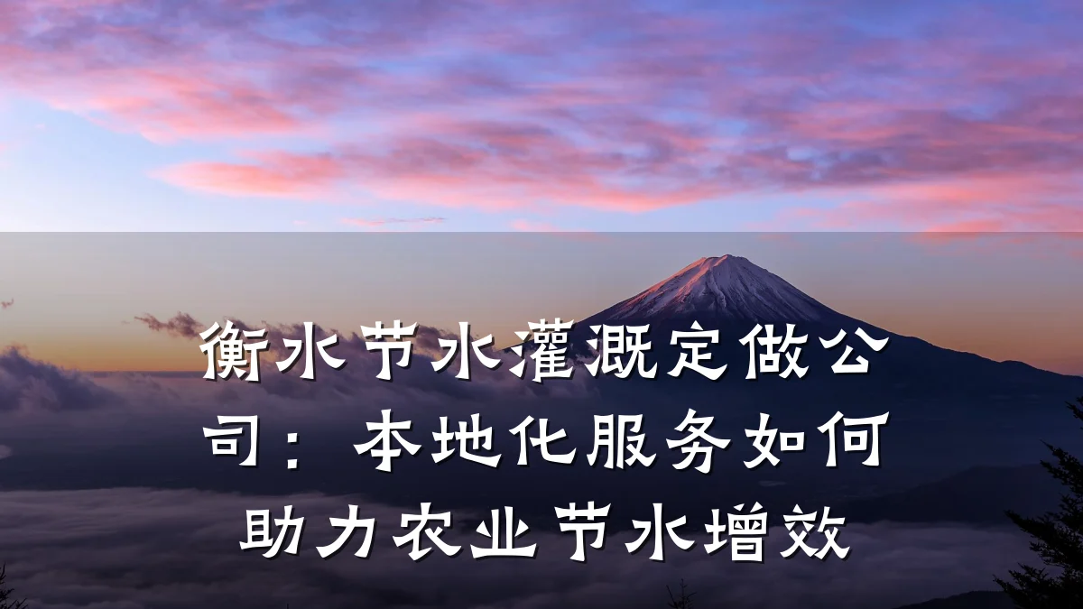 衡水节水灌溉定做公司：本地化服务如何助力农业节水增效