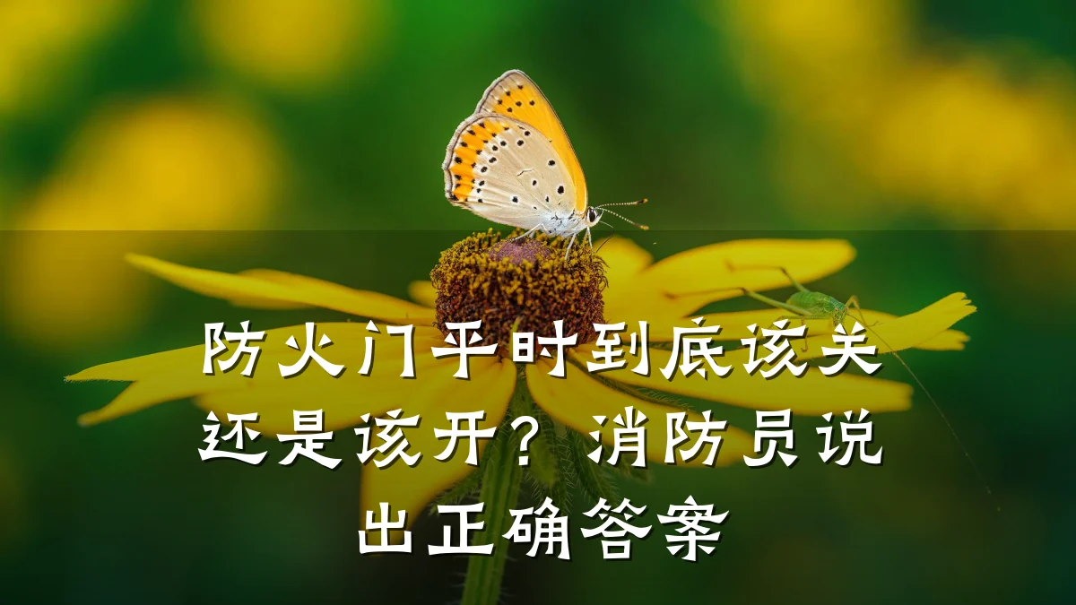 防火门平时到底该关还是该开?消防员说出正确答案