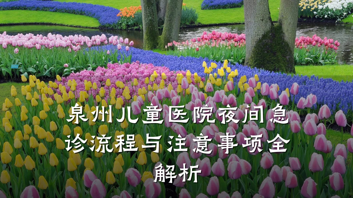 泉州儿童医院夜间急诊流程与注意事项全解析
