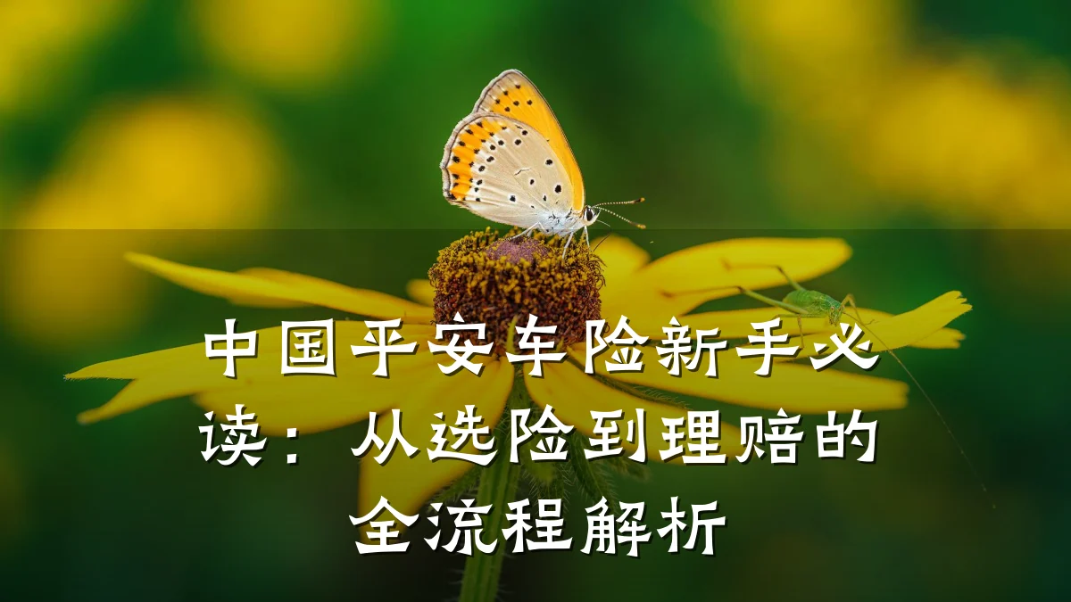 中国平安车险新手必读:从选险到理赔的全流程解析