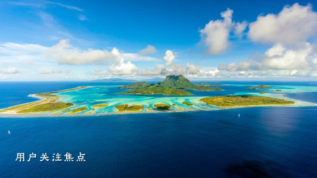 用户关注焦点