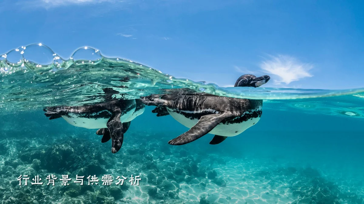 行业背景与供需分析