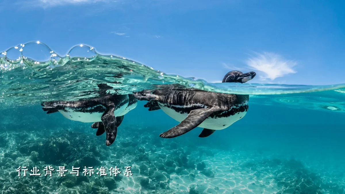 行业背景与标准体系