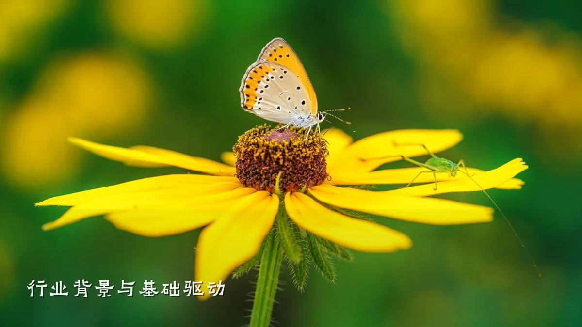 行业背景与基础驱动