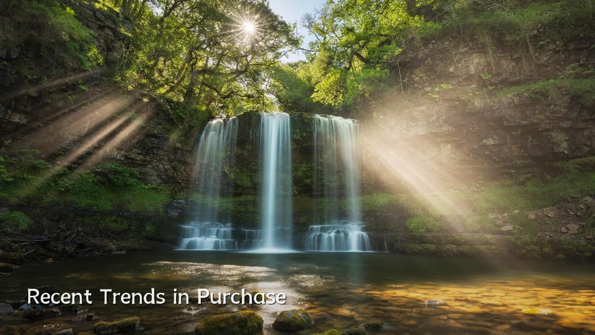 Recent Trends in Purchase