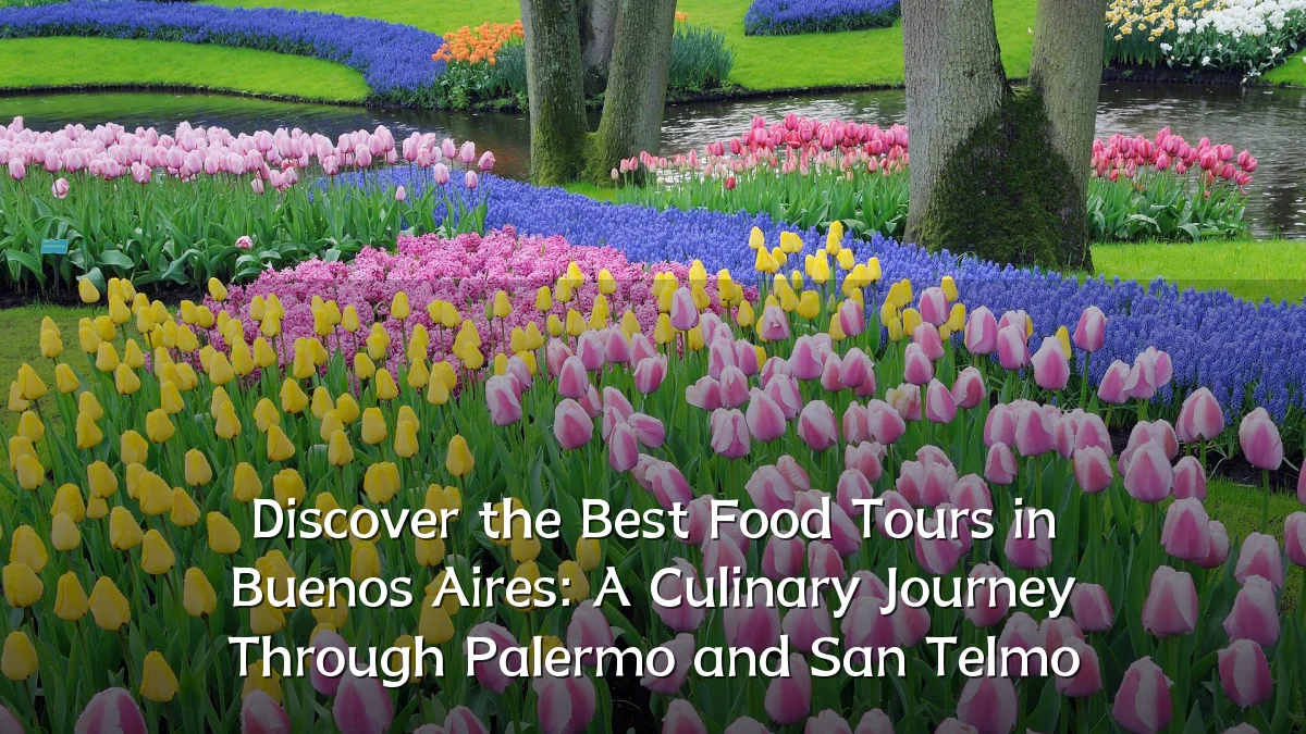 Discover the Best Food Tours in Buenos Aires: A Culinary Journey Through Palermo and San Telmo