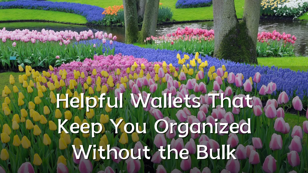 Helpful Wallets That Keep You Organized Without the Bulk