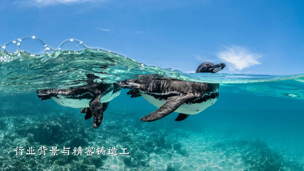 行业背景与精密铸造工