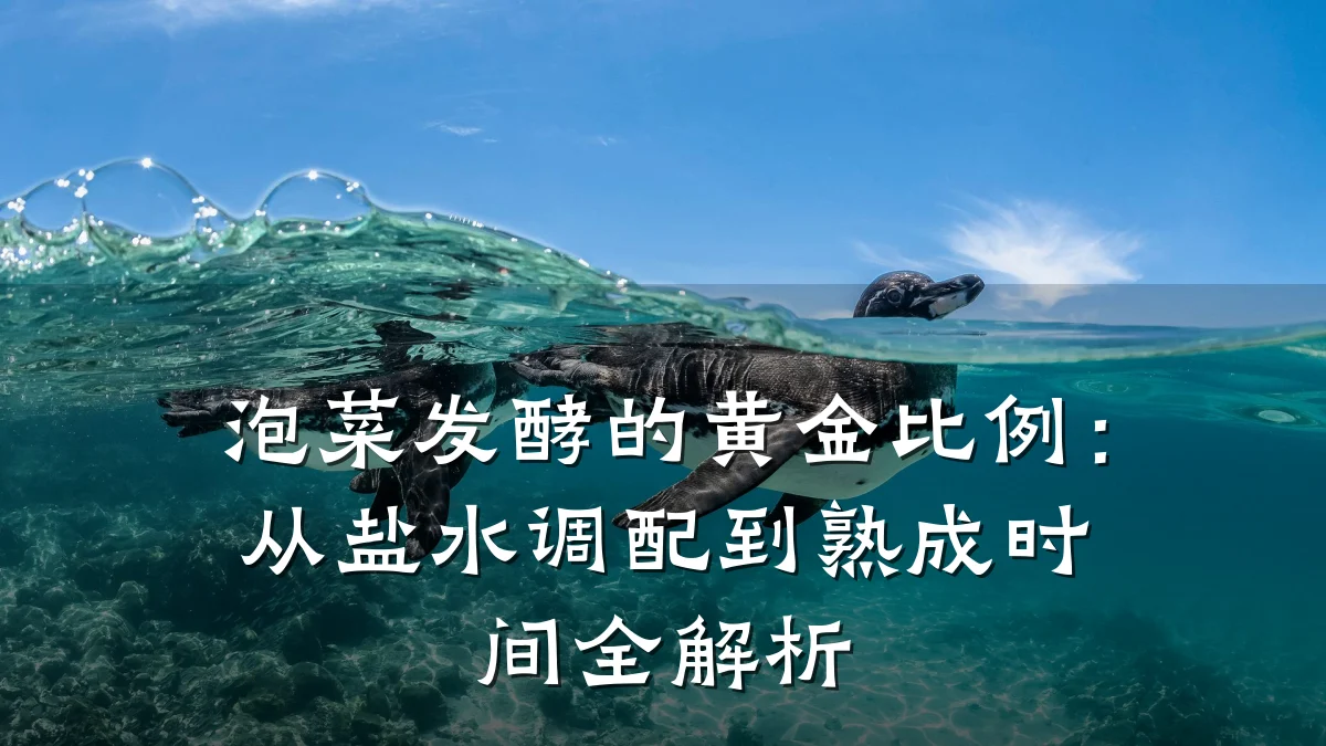 泡菜发酵的黄金比例:从盐水调配到熟成时间全解析