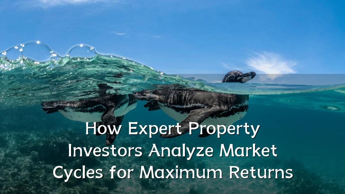 How Expert Property Investors Analyze Market Cycles for Maximum Returns
