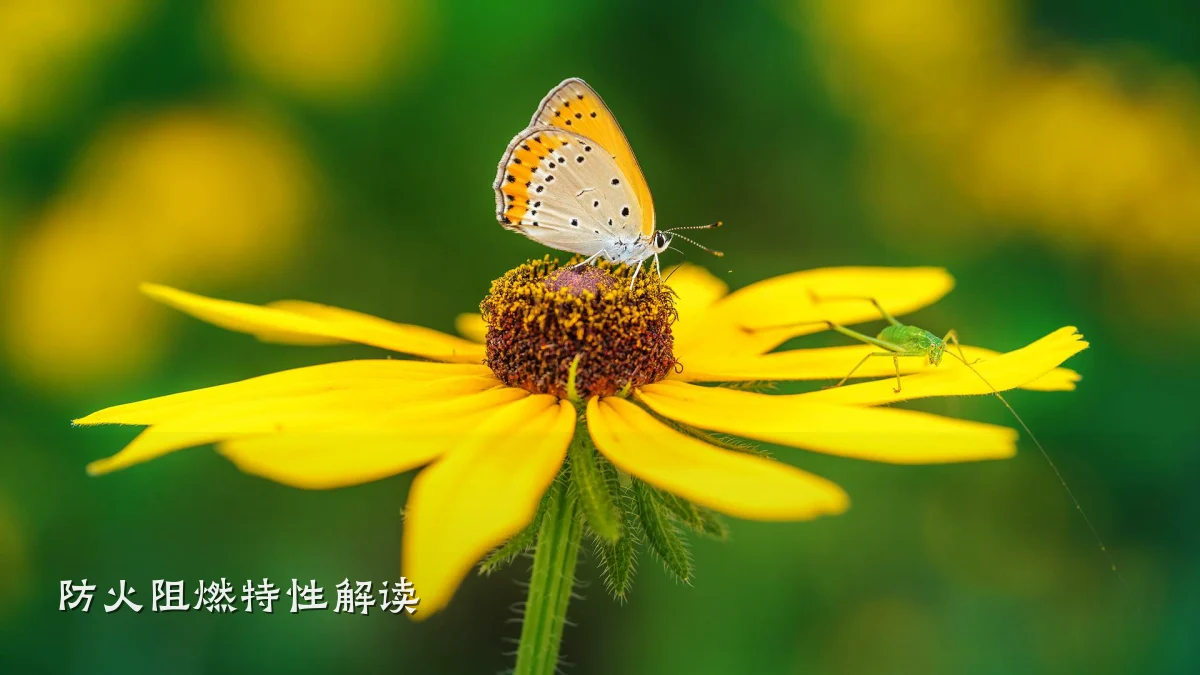 防火阻燃特性解读