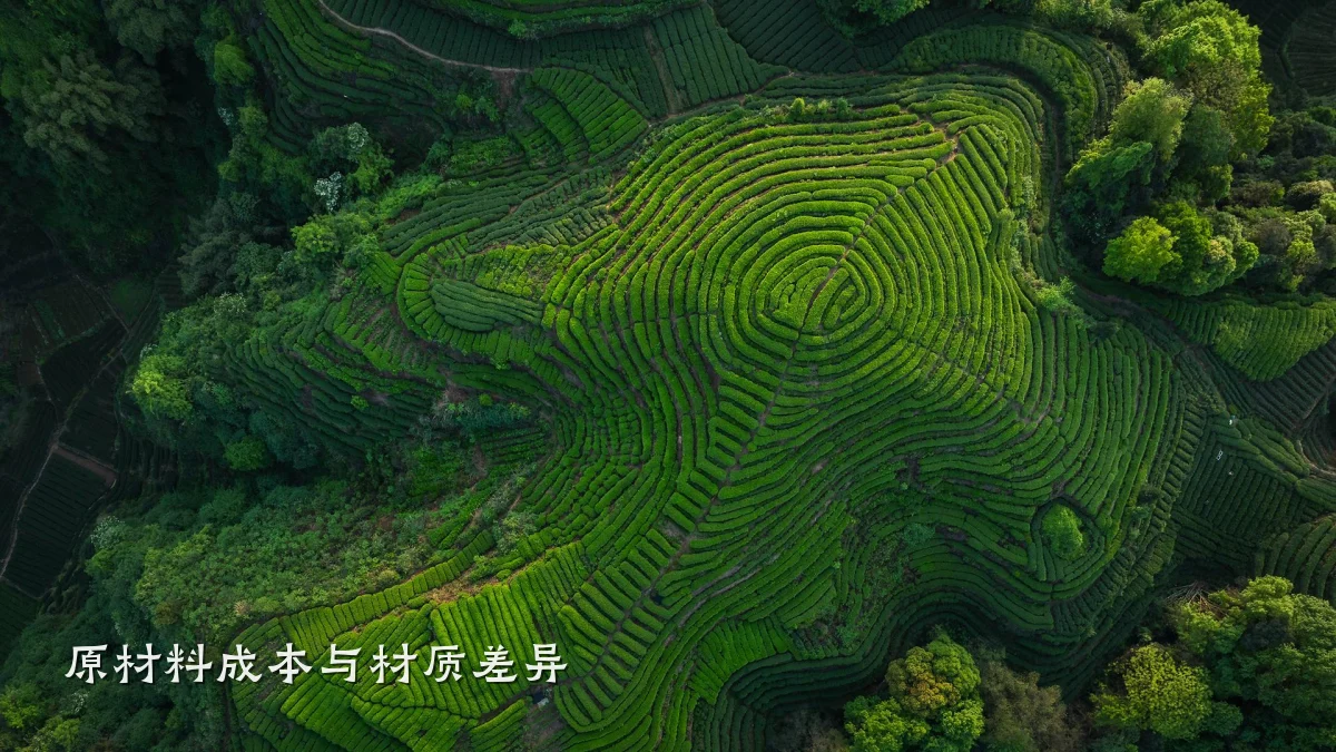 原材料成本与材质差异