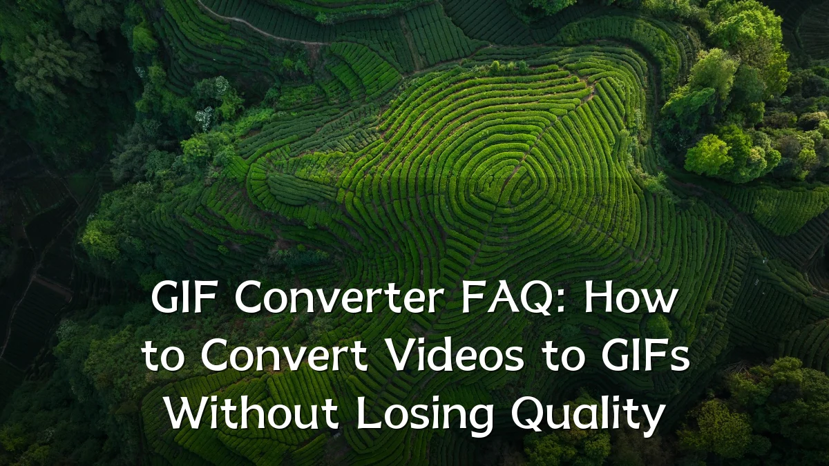 GIF Converter FAQ: How to Convert Videos to GIFs Without Losing Quality
